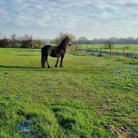 La Bergerie * Saigneville