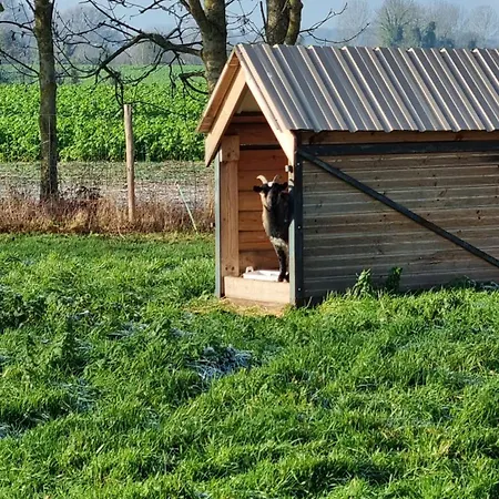 La Bergerie 度假居 Saigneville